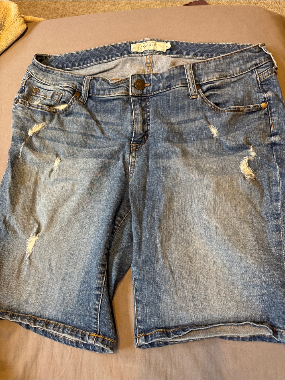 Torrid Shorts